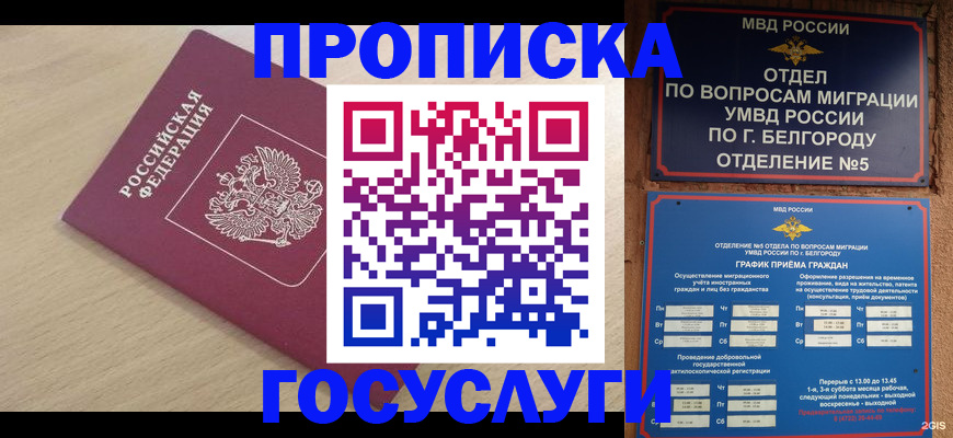 прописка законно в Лисках